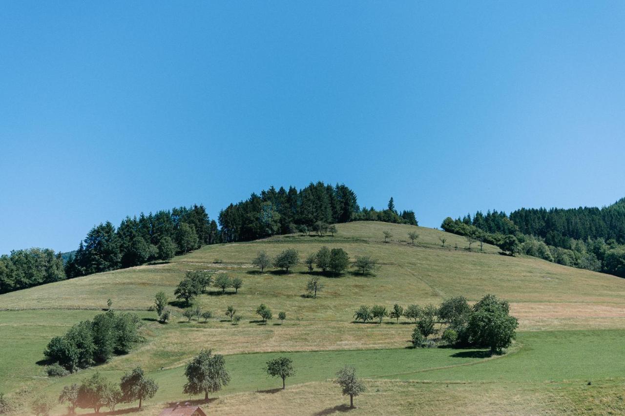 Moderne 2 Zi.-Fewo Blackforestart Naehe Freiburg Simonswald Esterno foto