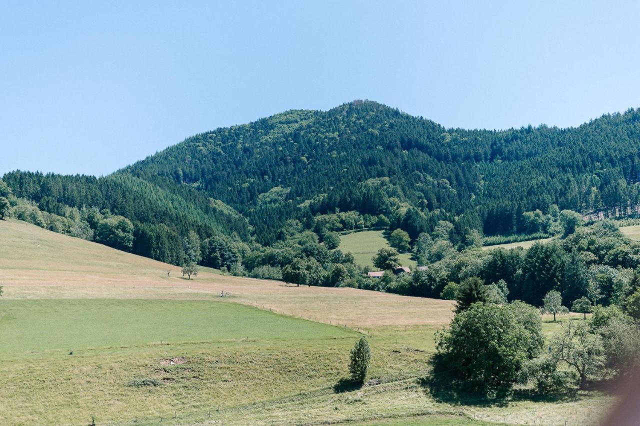 Moderne 2 Zi.-Fewo Blackforestart Naehe Freiburg Simonswald Esterno foto